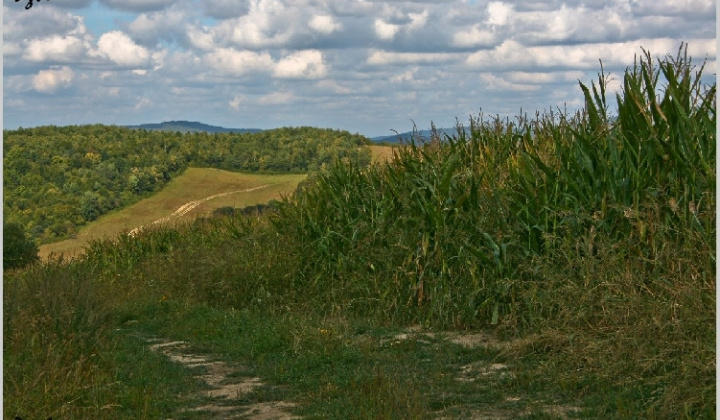 13. fotografia fotogalérie Pichne a okolie
