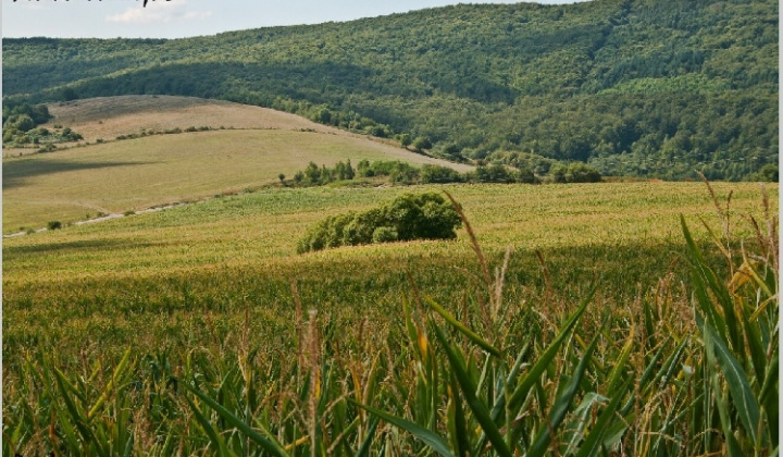 14. fotografia fotogalérie Pichne a okolie