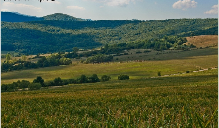 17. fotografia fotogalérie Pichne a okolie