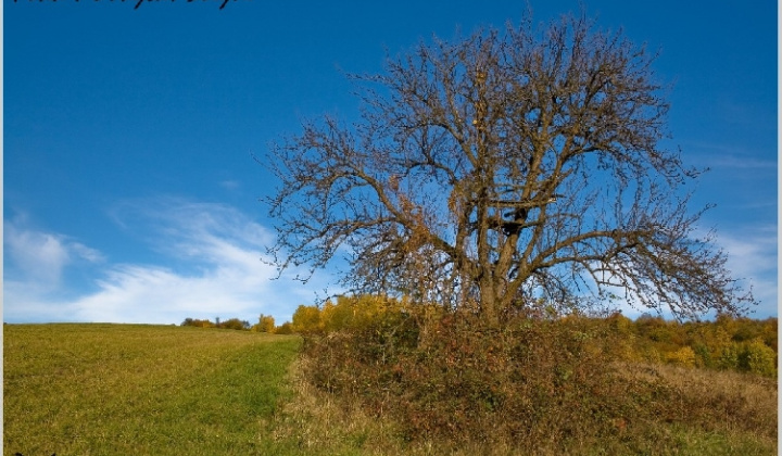 4. fotografia fotogalérie Pichne a okolie II.