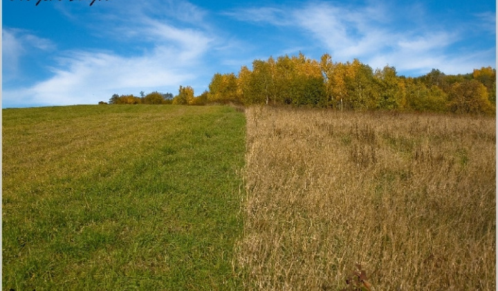 5. fotografia fotogalérie Pichne a okolie II.