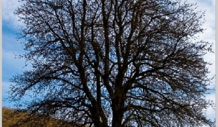 7. fotografia fotogalérie Pichne a okolie II.