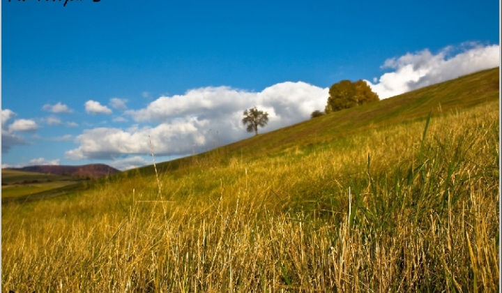 12. fotografia fotogalérie Pichne a okolie II.