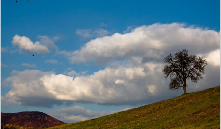 14. fotografia fotogalérie Pichne a okolie II.