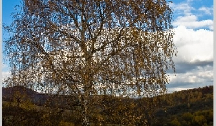 19. fotografia fotogalérie Pichne a okolie II.