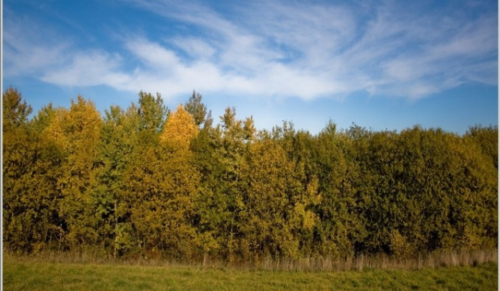 20. fotografia fotogalérie Pichne a okolie II.