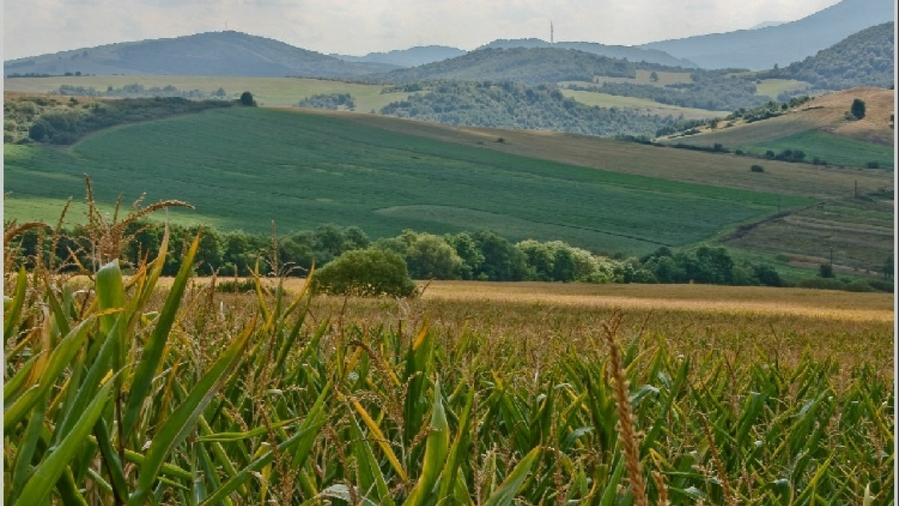 Fotografia fotogalérie Pichne a okolie III.