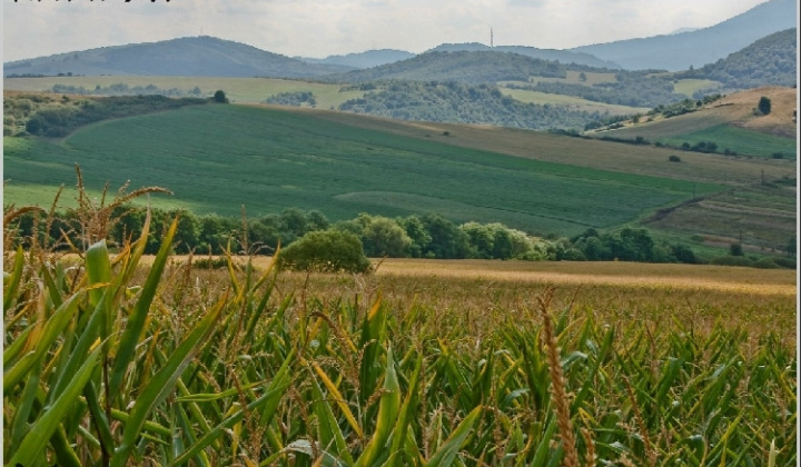 1. fotografia fotogalérie Pichne a okolie III.