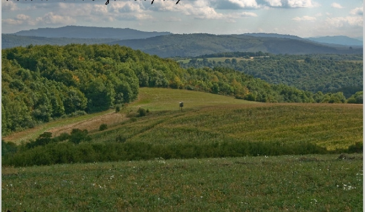 5. fotografia fotogalérie Pichne a okolie III.