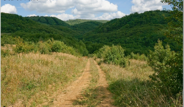 8. fotografia fotogalérie Pichne a okolie III.