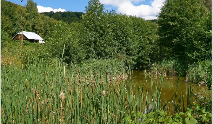 12. fotografia fotogalérie Pichne a okolie III.