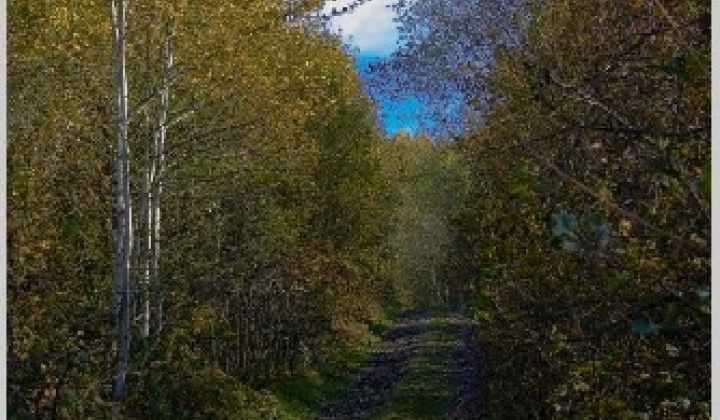 15. fotografia fotogalérie Pichne a okolie III.