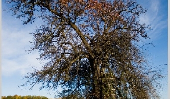 16. fotografia fotogalérie Pichne a okolie III.