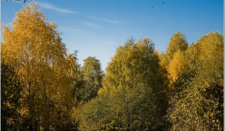 17. fotografia fotogalérie Pichne a okolie III.