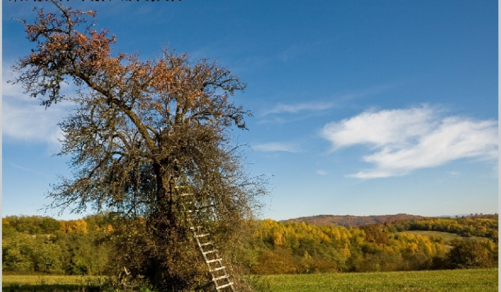 18. fotografia fotogalérie Pichne a okolie III.