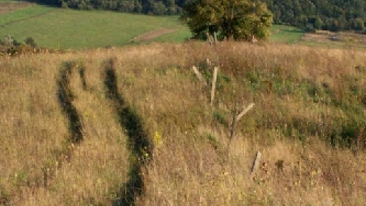 Fotografia fotogalérie Pichne a okolie IV.