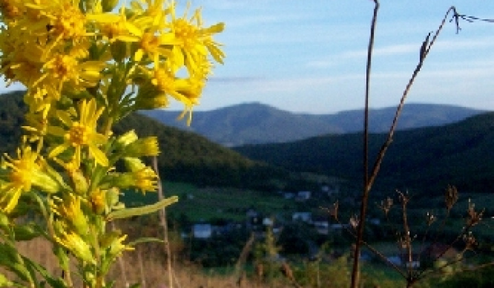 2. fotografia fotogalérie Pichne a okolie IV.