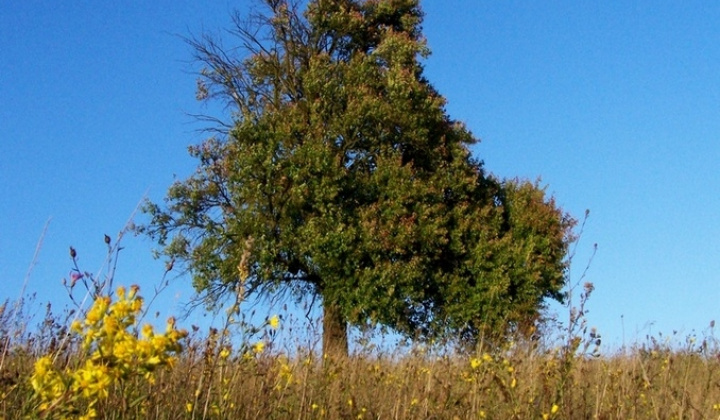 5. fotografia fotogalérie Pichne a okolie IV.