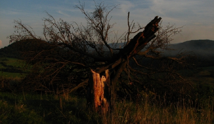 6. fotografia fotogalérie Pichne a okolie IV.