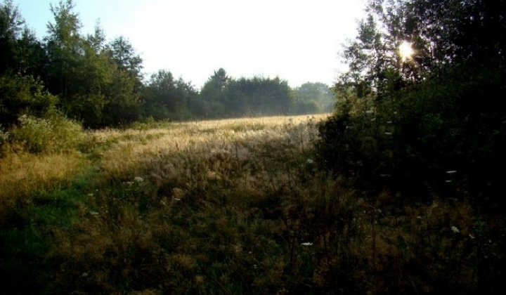 10. fotografia fotogalérie Pichne a okolie IV.