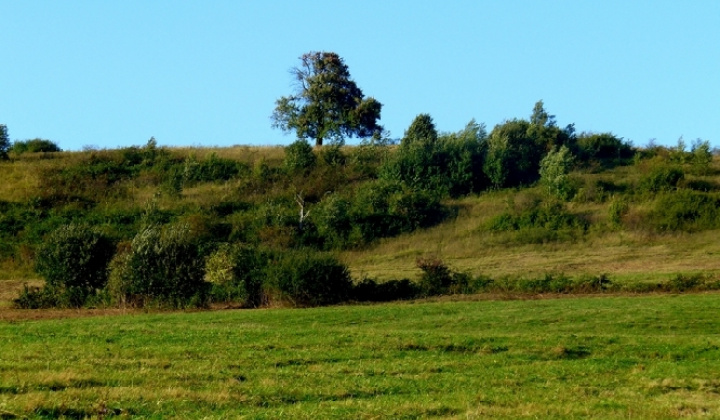 11. fotografia fotogalérie Pichne a okolie IV.