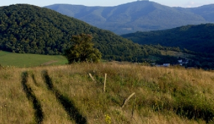 12. fotografia fotogalérie Pichne a okolie IV.