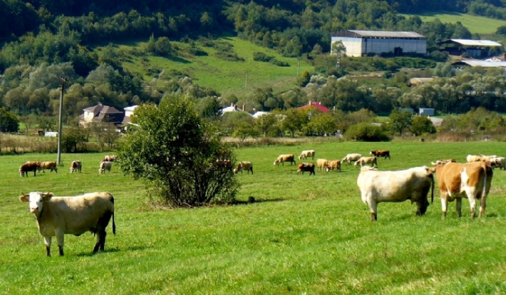 16. fotografia fotogalérie Pichne a okolie IV.