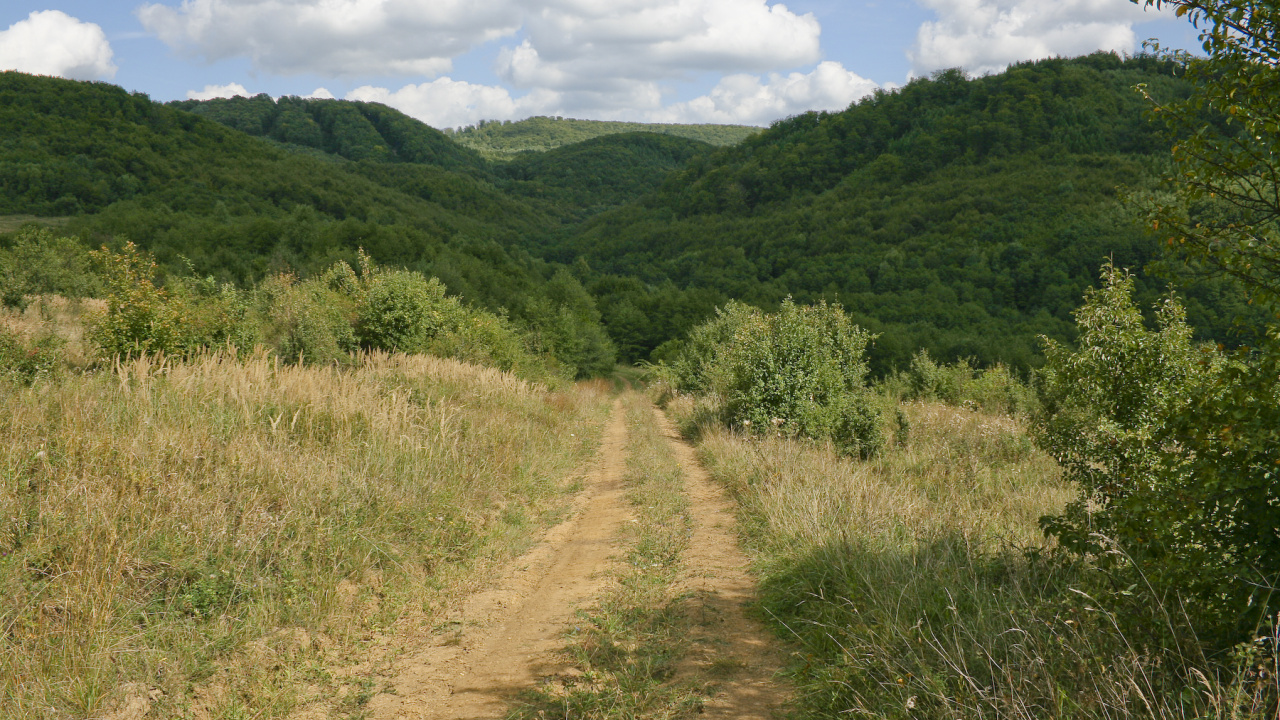 Fotografia fotogalérie Leto