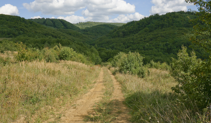 1. fotografia fotogalérie Leto