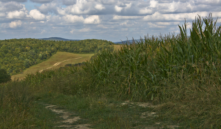3. fotografia fotogalérie Leto