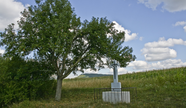 7. fotografia fotogalérie Leto