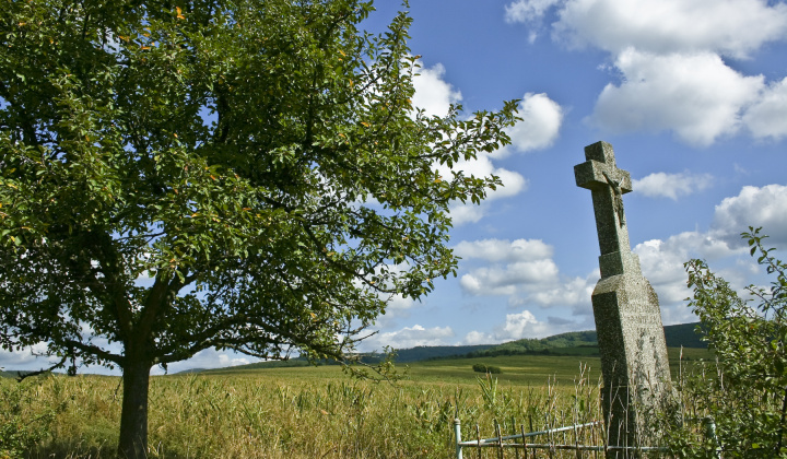8. fotografia fotogalérie Leto