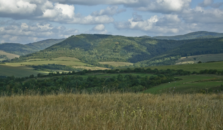 10. fotografia fotogalérie Leto