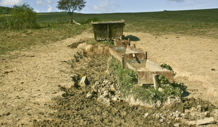 11. fotografia fotogalérie Leto