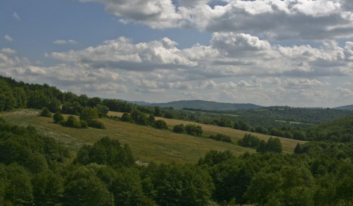 12. fotografia fotogalérie Leto