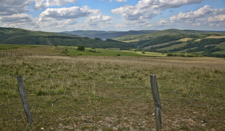 13. fotografia fotogalérie Leto