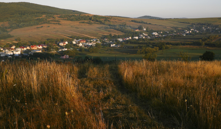 14. fotografia fotogalérie Leto