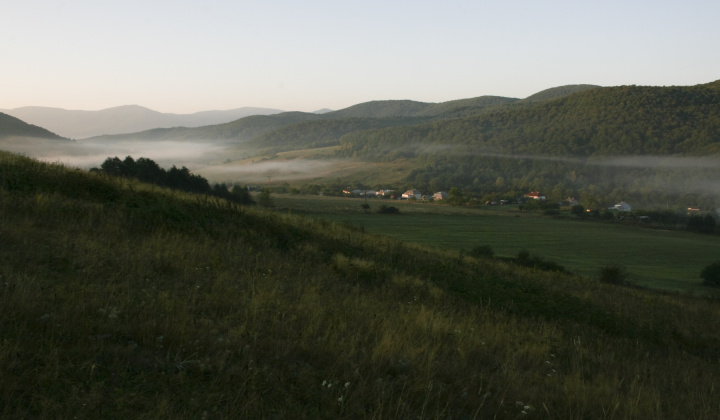 16. fotografia fotogalérie Leto