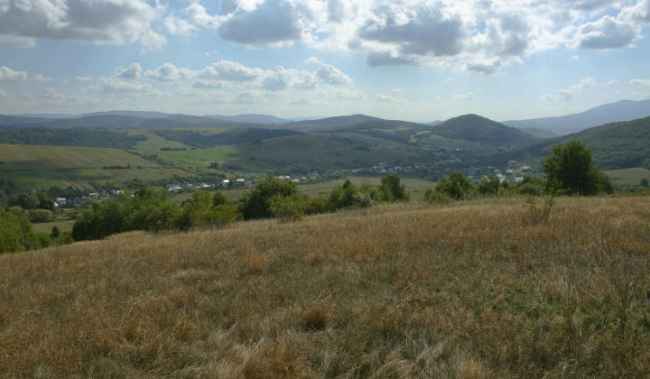 18. fotografia fotogalérie Leto