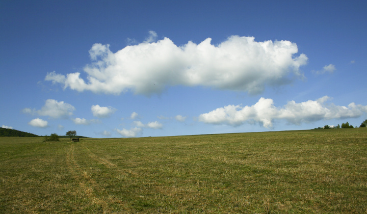 19. fotografia fotogalérie Leto