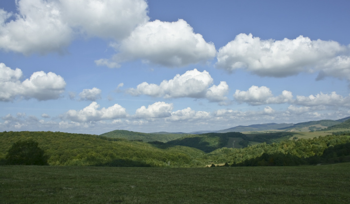 21. fotografia fotogalérie Leto