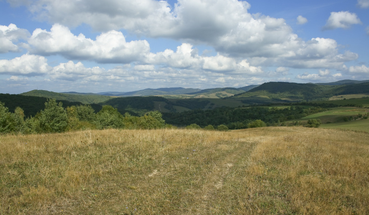 22. fotografia fotogalérie Leto