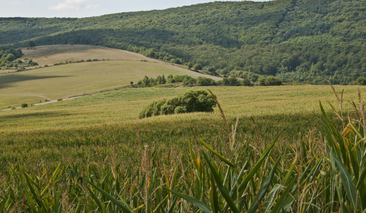 23. fotografia fotogalérie Leto