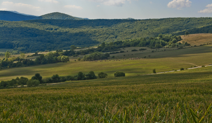 24. fotografia fotogalérie Leto