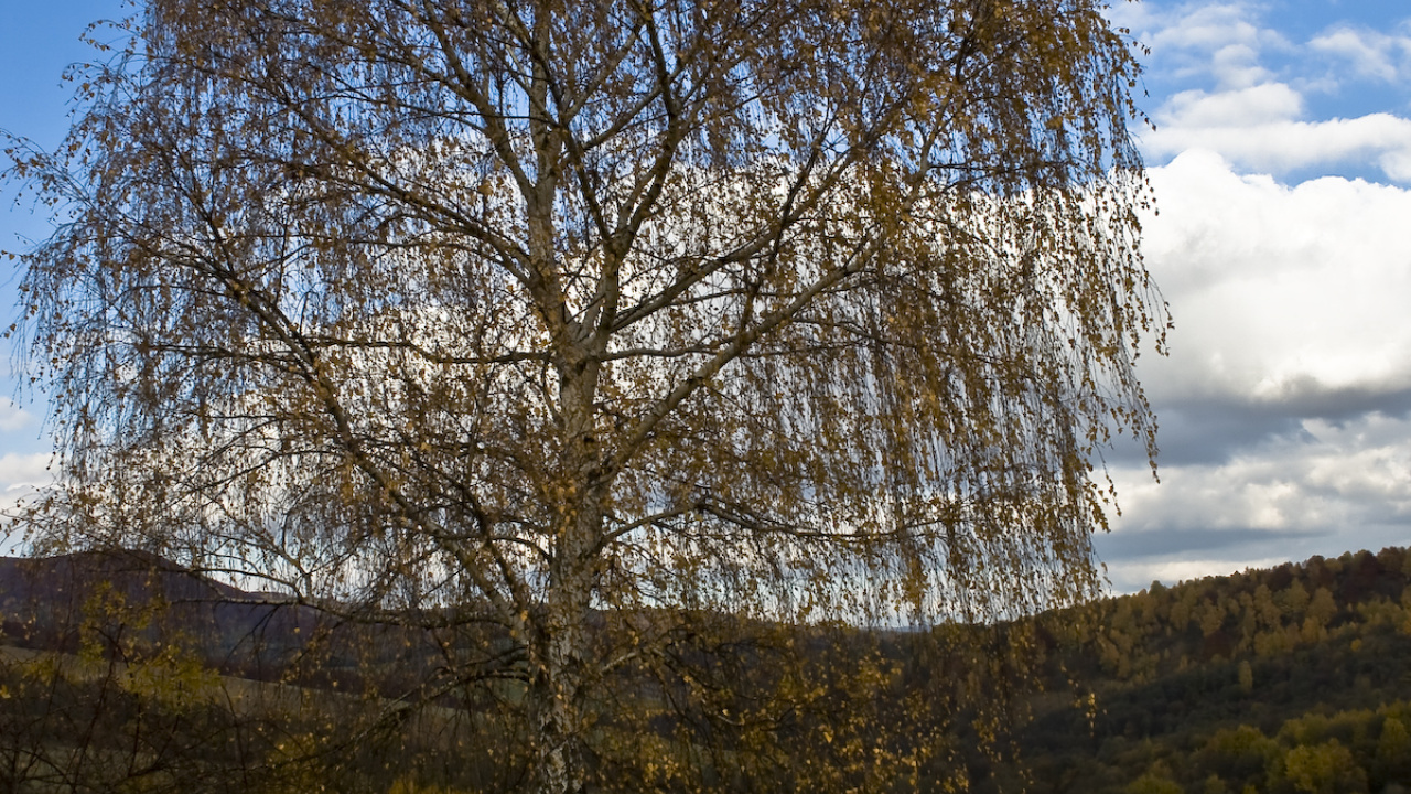 Fotografia fotogalérie Jeseň