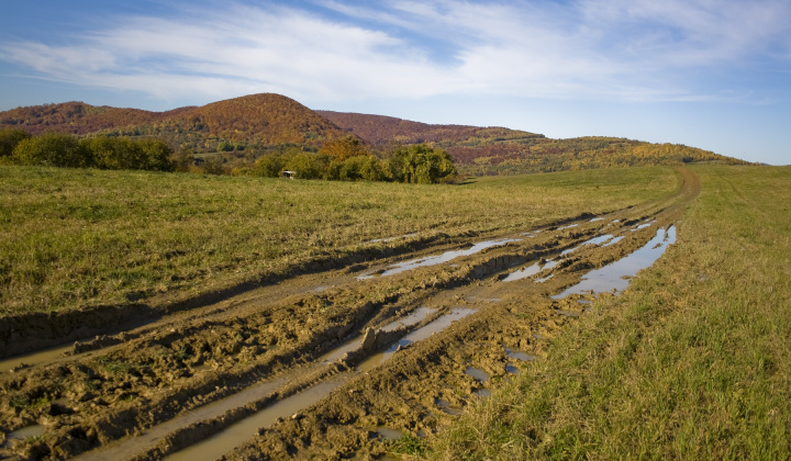 3. fotografia fotogalérie Jeseň