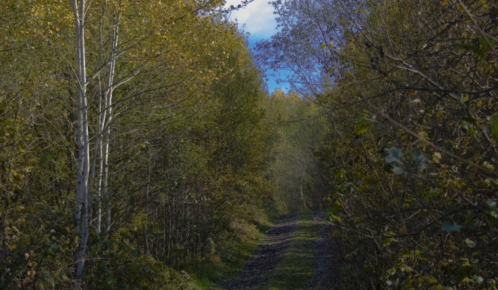 4. fotografia fotogalérie Jeseň