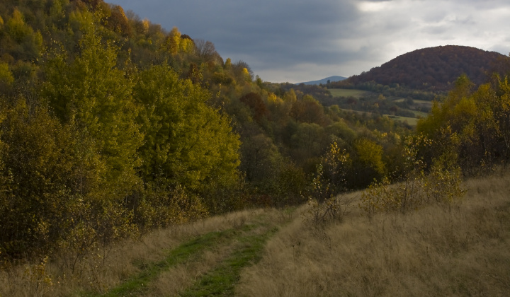 5. fotografia fotogalérie Jeseň