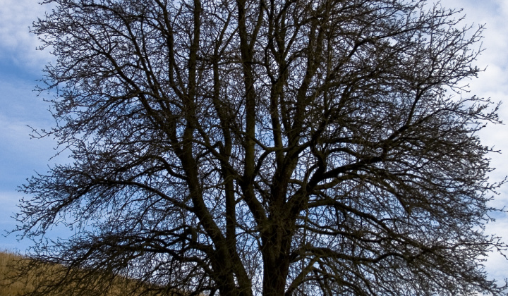 6. fotografia fotogalérie Jeseň