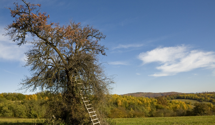 8. fotografia fotogalérie Jeseň